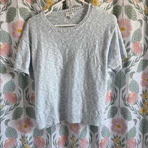 J Crew Blie Gray Short Sleeve Sweater